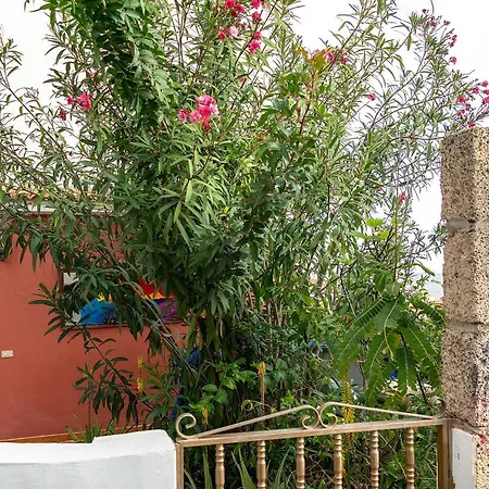 Apartman Moringa Garden Chayofa